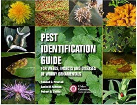 Pest Identification Guide