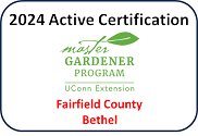 Active Certification 2024 - Fairfield/Bethel