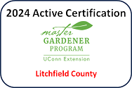 Active Certification 2024 - Litchfield