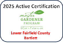 Active Certification 2025 - Lower Fairfield