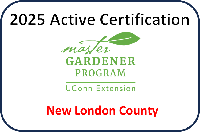 Active Certification 2025 - New London