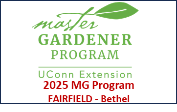 2025 UConn MG Program - Fairfield/Bethel