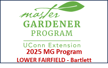 2025 UConn MG Program - Lower Fairfield/Bartlett