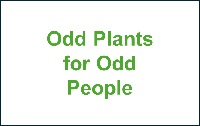 Plant Geeks are US Odd Plants for Odd People