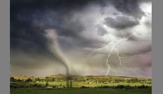 The Effect of Extreme Weather on Plants and Pests