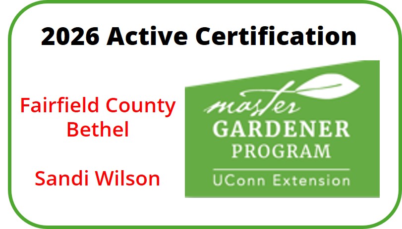 Active Certification 2026 - Fairfield/Bethel
