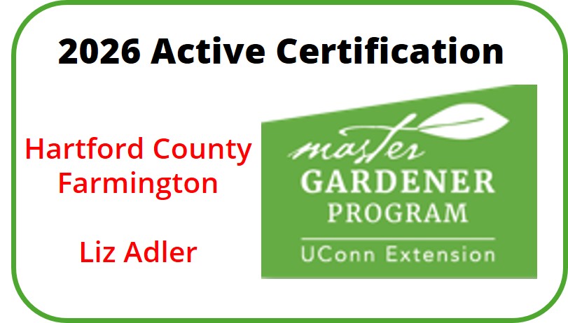 Active Certification 2026 - Hartford