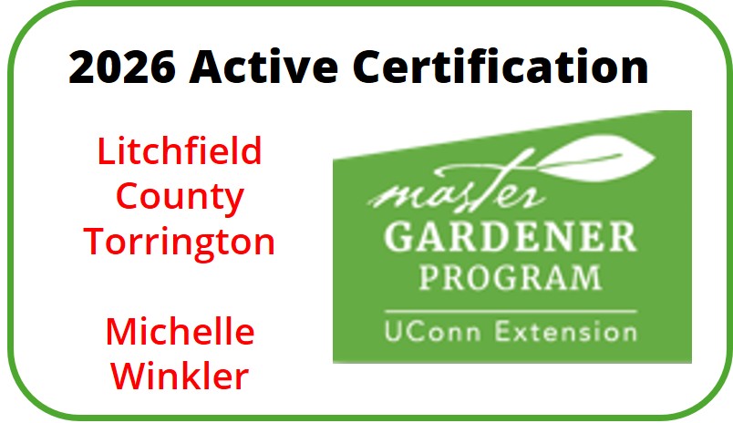 Active Certification 2026 - Litchfield