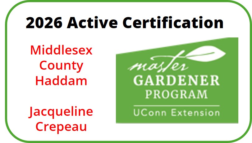 Active Certification 2026 - Middlesex