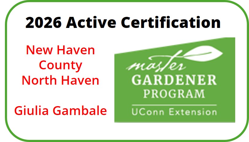 Active Certification 2026 - New Haven