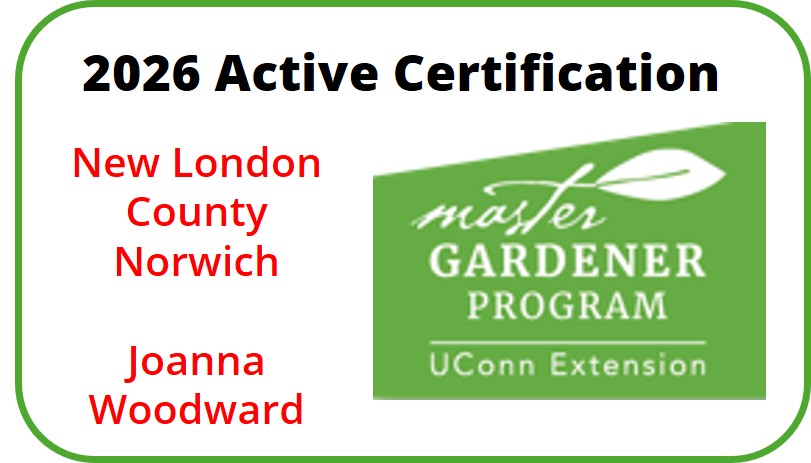 Active Certification 2026 - New London