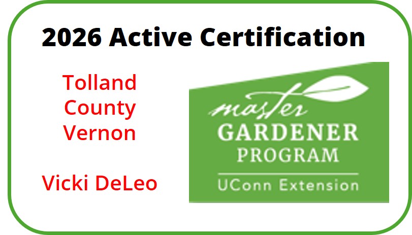 Active Certification 2026 - Tolland