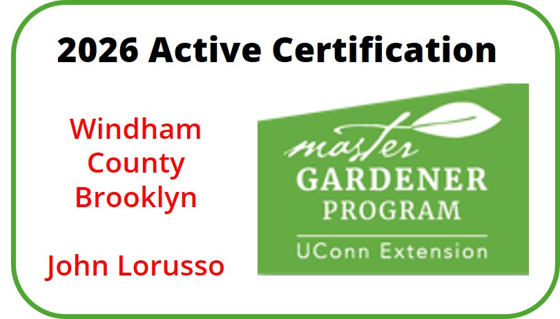 Active Certification 2026 - Windham