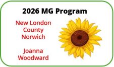 2026 UConn MG Program - New London