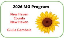 2026 UConn MG Program - New Haven