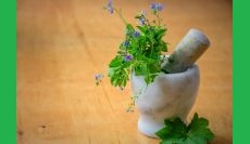 The Healing Power of Herbs: Nature’s Pharmacy