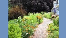 Design Foundation Gardens for a Changing World