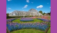 The Great Botanic Gardens of the World