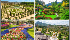 Around the World in 80 Gardens