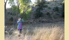 Watching Plants, Witnessing Change
