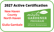 Active Certification 2027 - New Haven